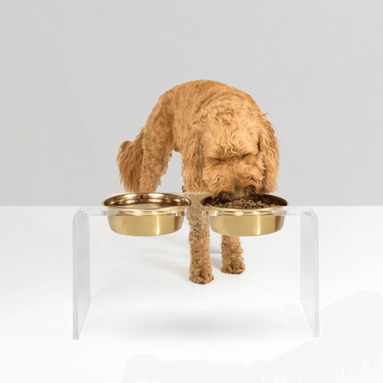 Tall Gold Feeder