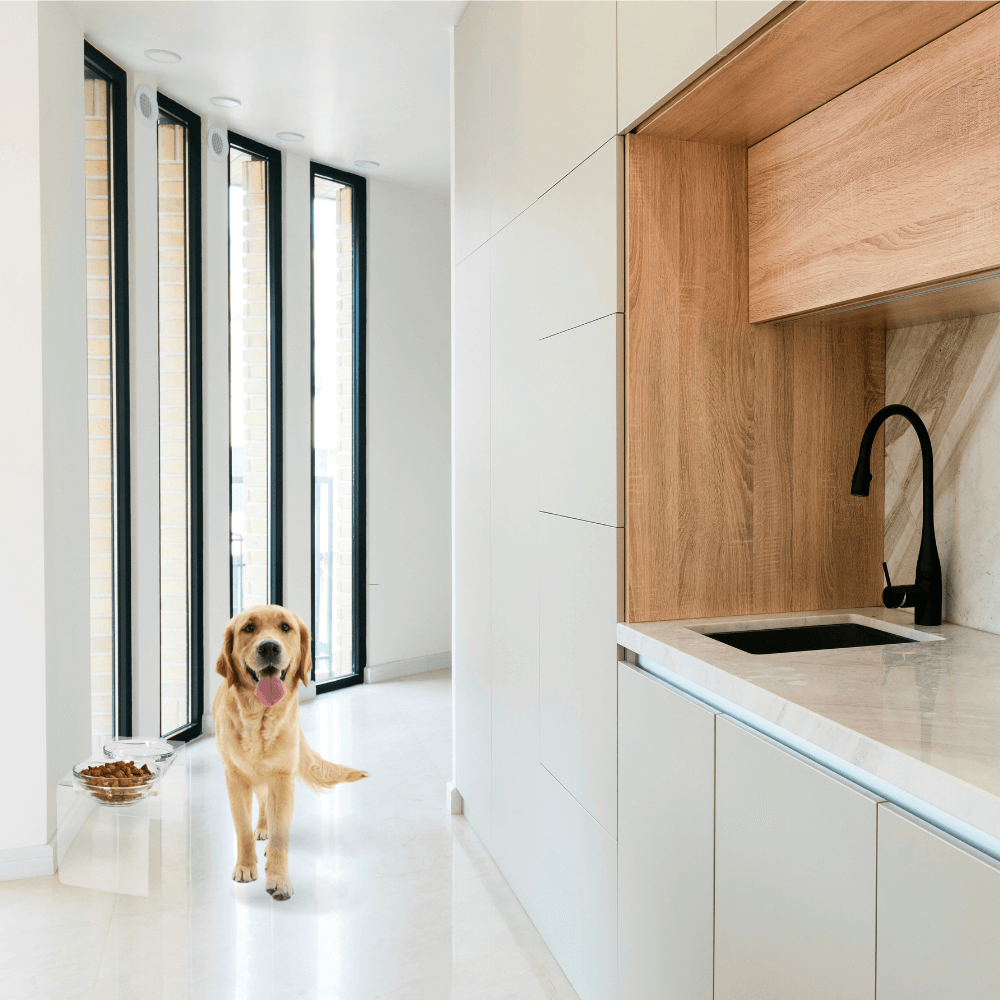 Tall Glass Bowl Feeder