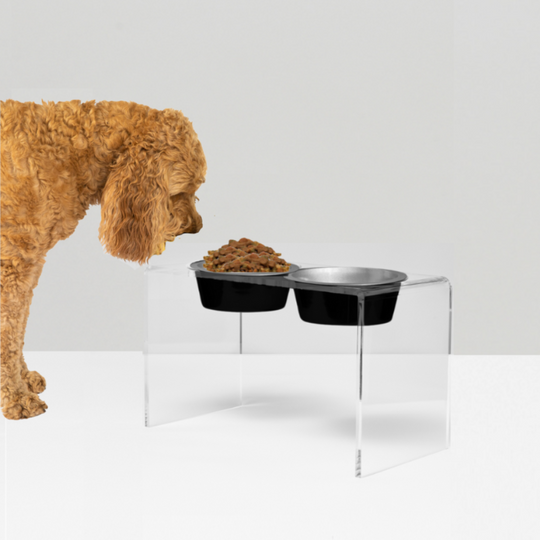 Tall Clear Double Pet Bowl Feeder with Glam Bowls | Options