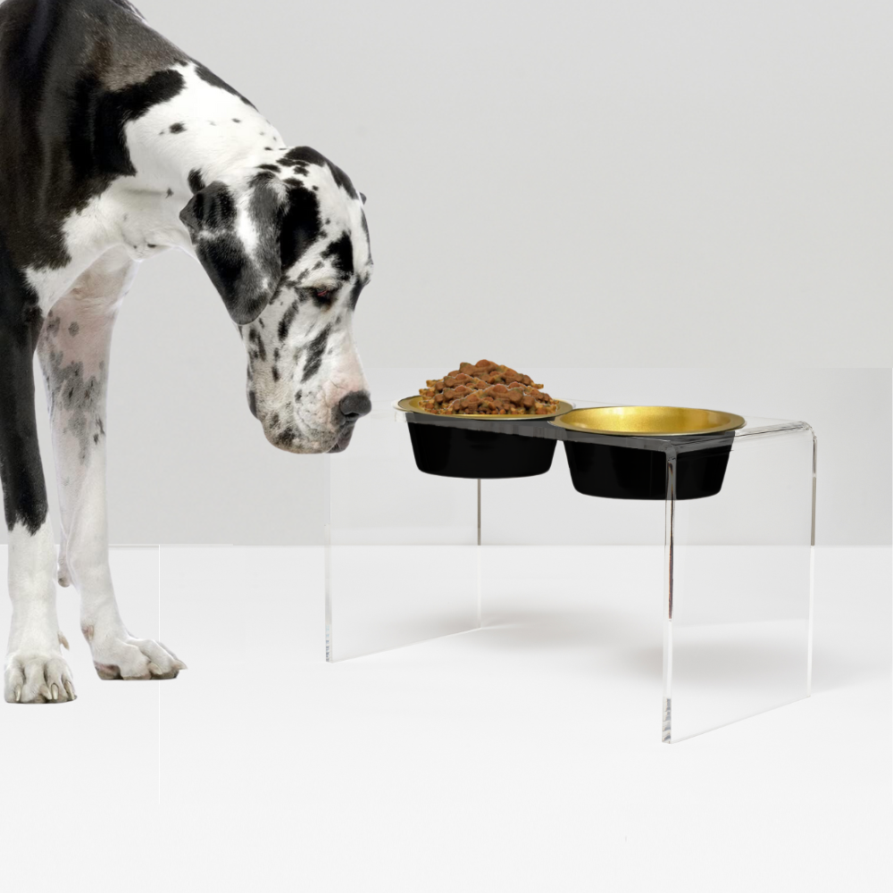 Tall Clear Double Pet Bowl Feeder with Glam Bowls | Options