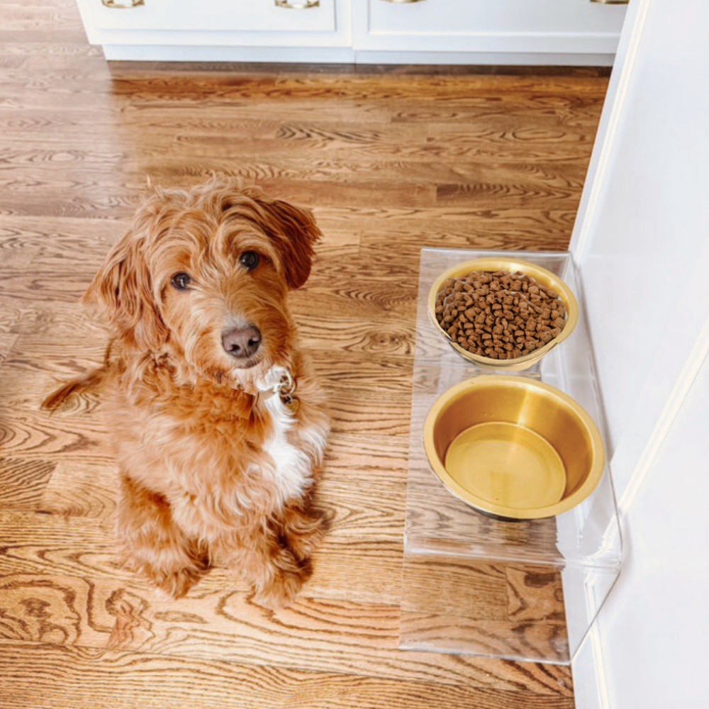 Tall Gold Double Feeder