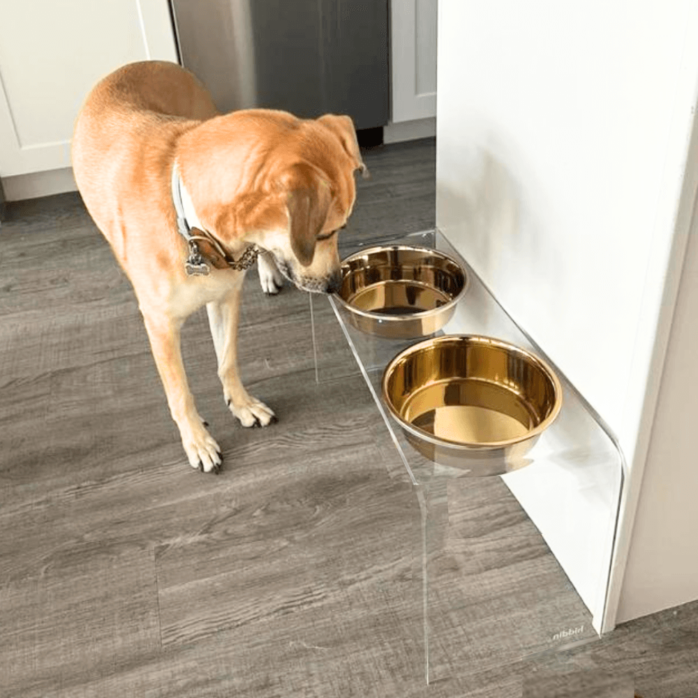 Tall Gold Double Feeder