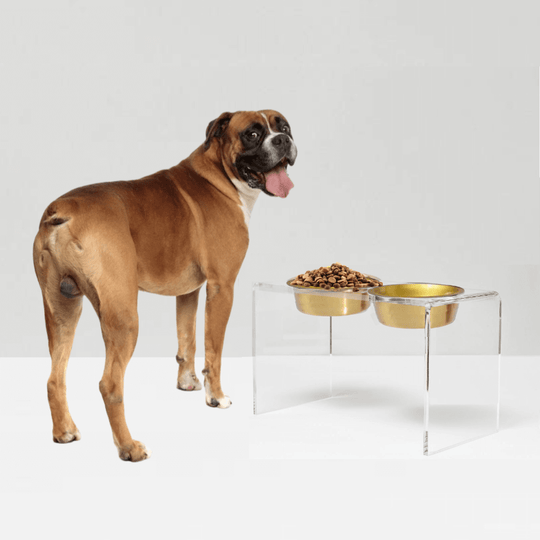 Tall Gold Feeder