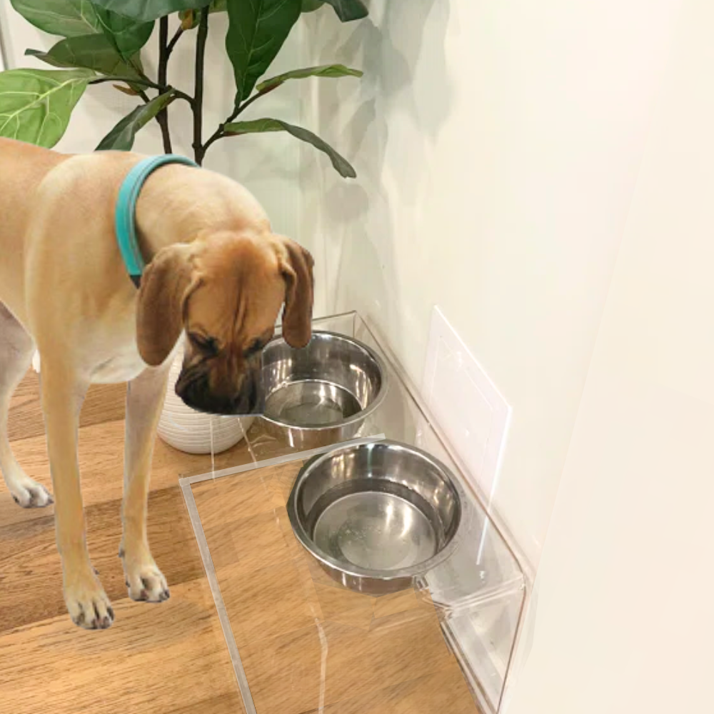 Clear Overflow Feeder Tray