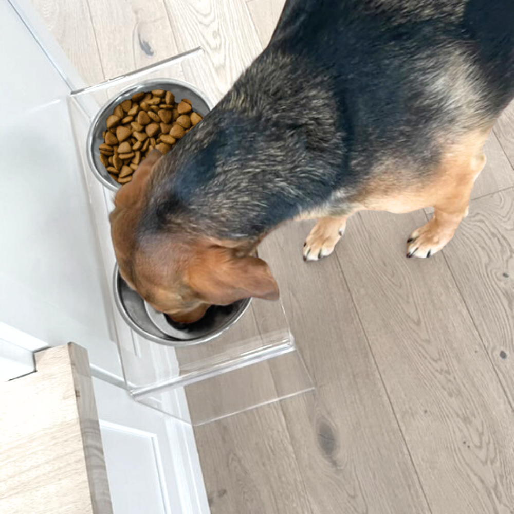 Medium Silver Feeder