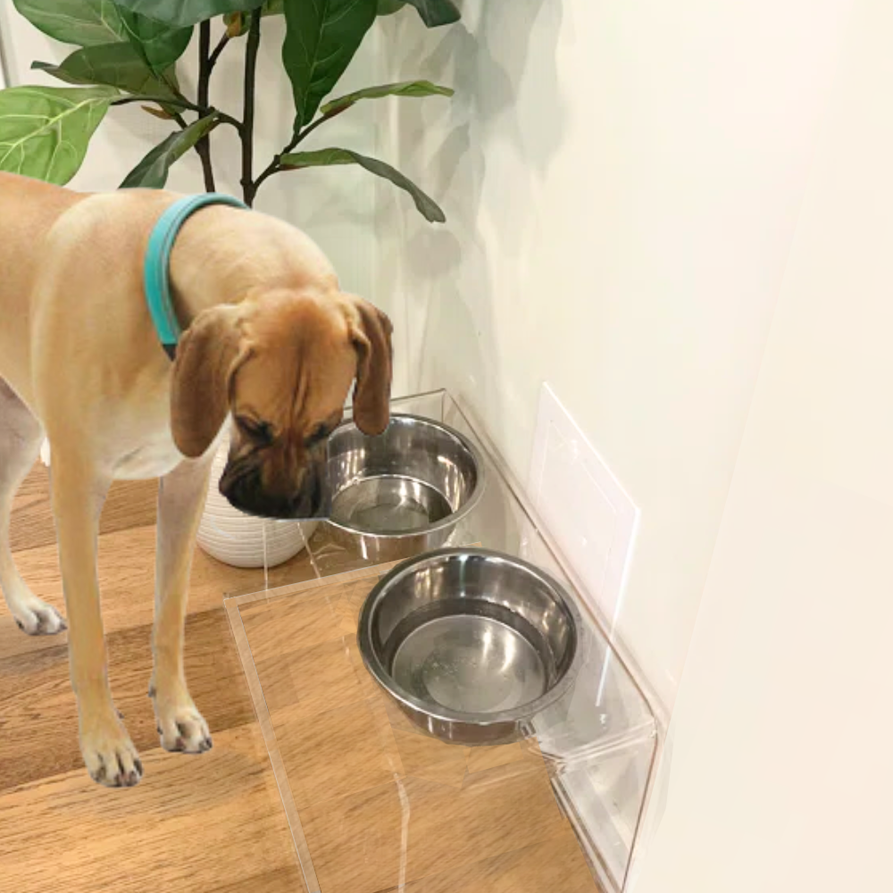 Tall Silver Double Feeder