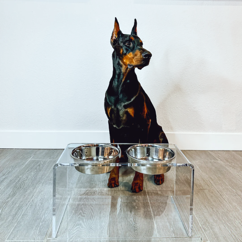 Tall Silver Double Feeder