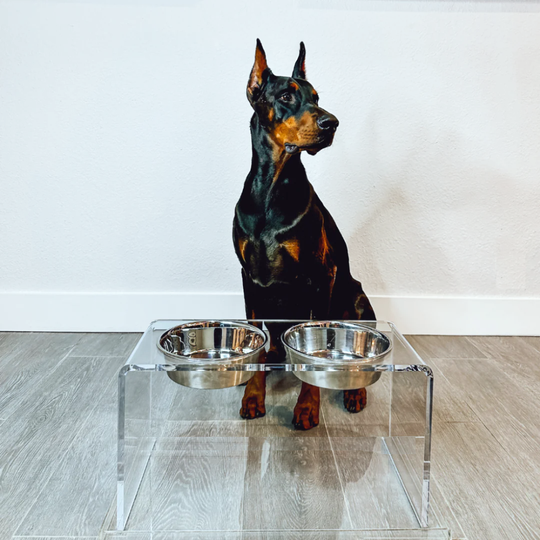 Tall Silver Double Feeder