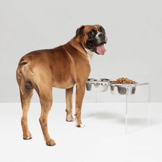 Tall Silver Double Feeder