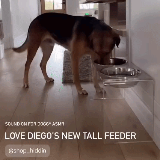 Tall Silver Double Feeder