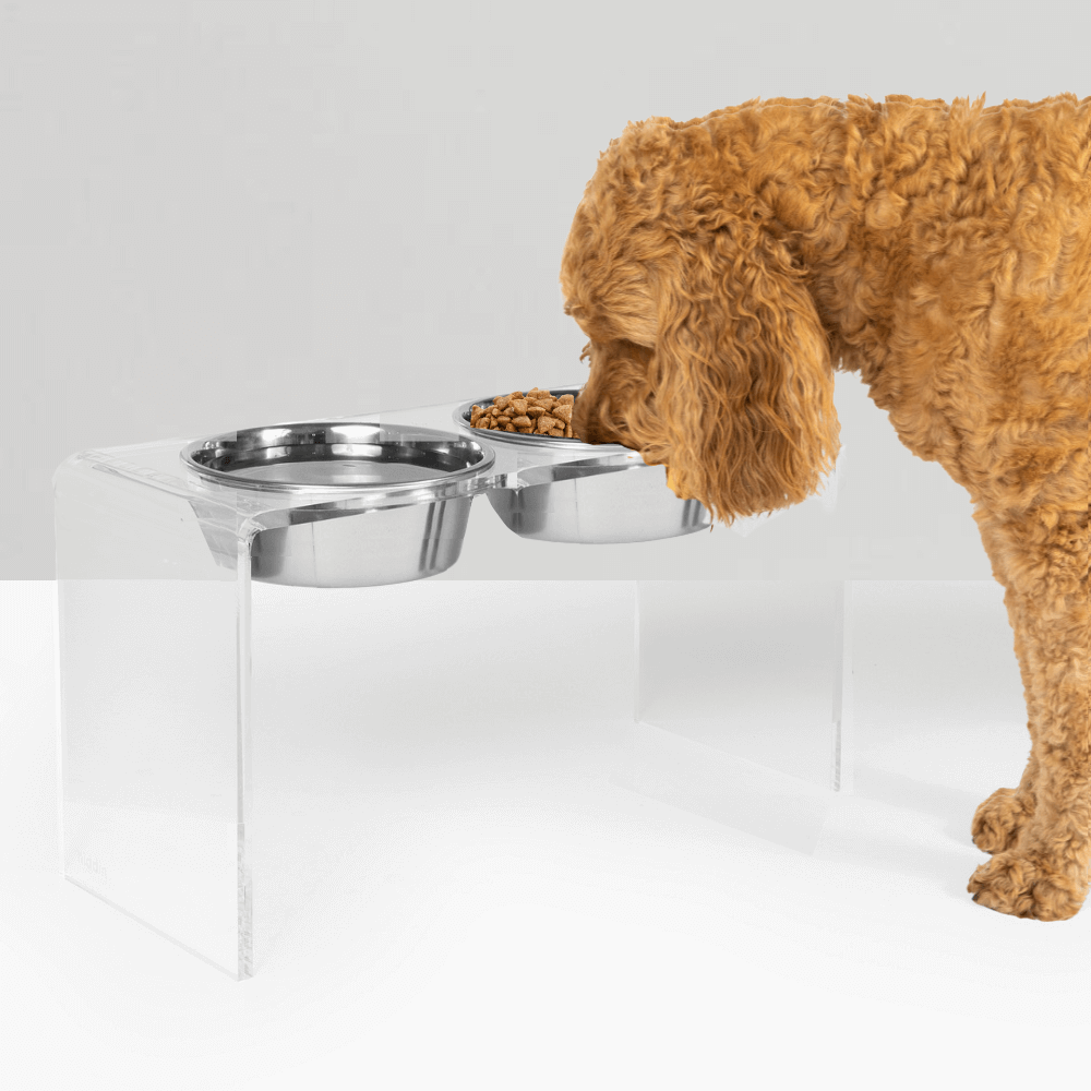 Tall Silver Double Feeder
