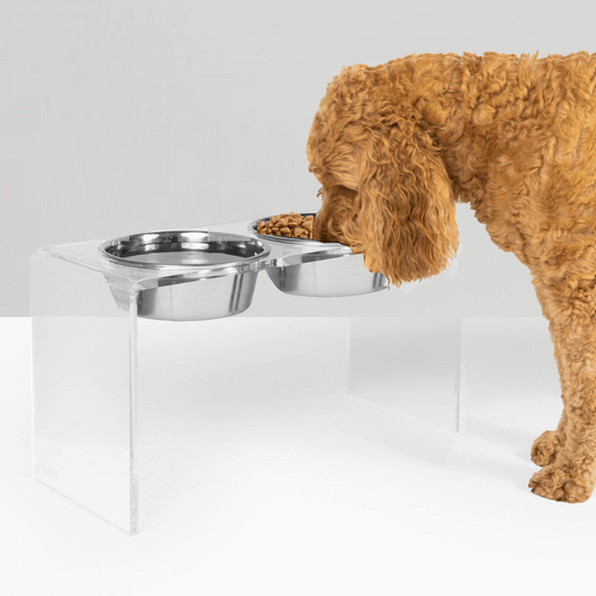 Tall Silver Double Feeder