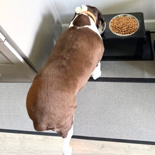 Tall Smoke Grey Feeder