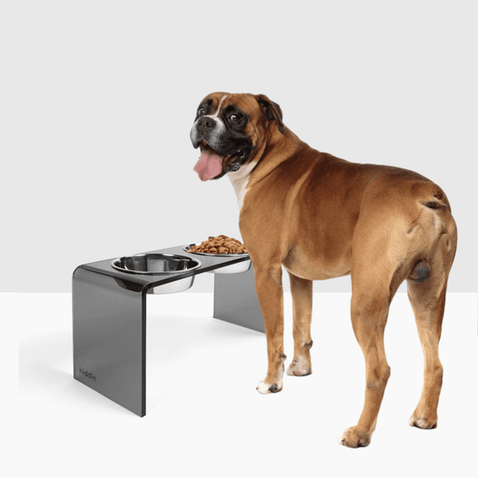 Tall Smoke Grey Feeder