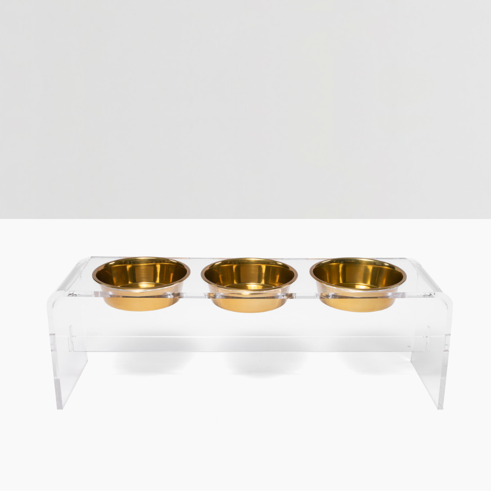 Tall Clear Triple Dog Bowl Feeder with Gold Bowls