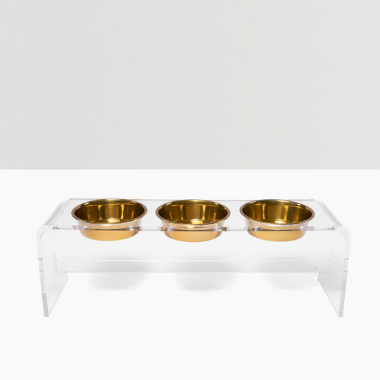 Tall Clear Triple Dog Bowl Feeder with Gold Bowls