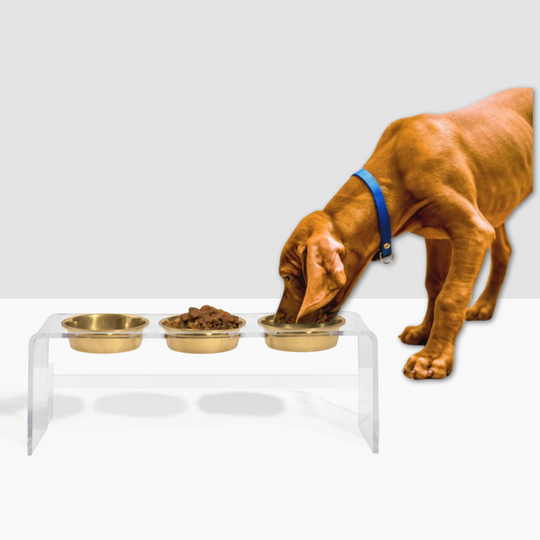 Tall Clear Triple Dog Bowl Feeder with Gold Bowls