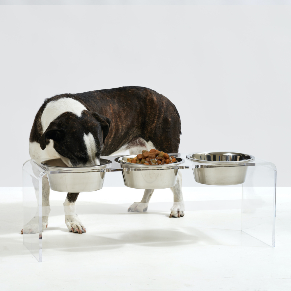 Tall Clear Triple Dog Bowl Feeder with Silver Bowls