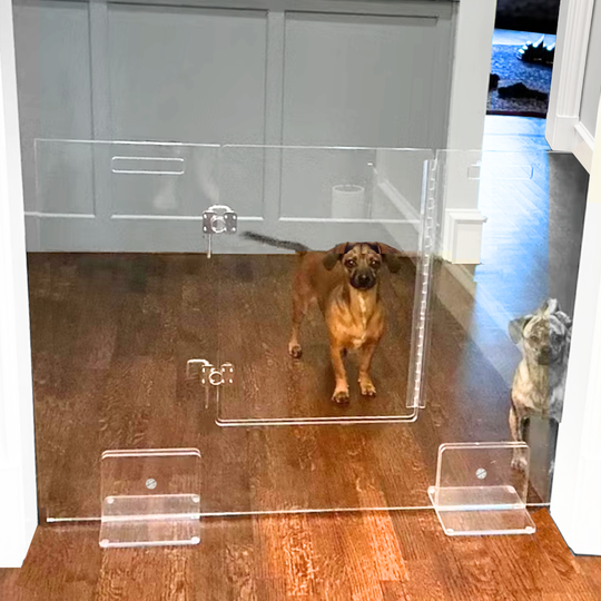 Panel Gate with Door (Freestanding)