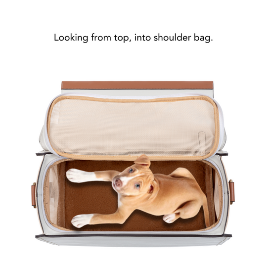 Canvas Pet Carrier Shoulder Bag