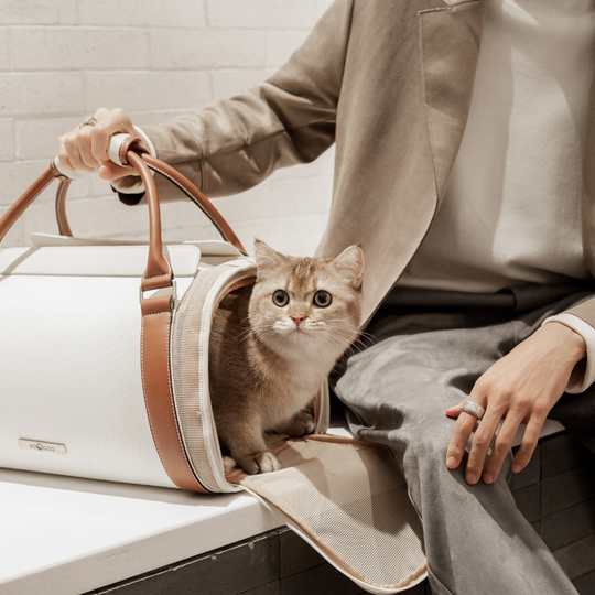 Canvas & Faux Leather Pet Carrier Handbag