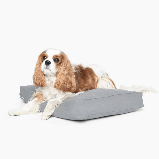 Hiddin Pet Cushion