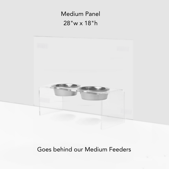 Lucite Wall Protector
