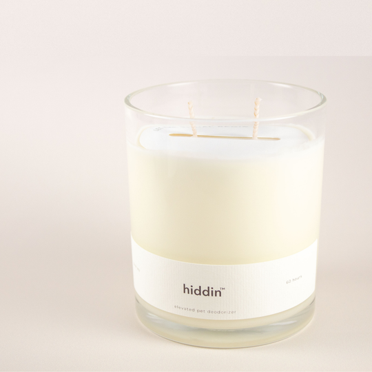 Hiddin Pet Deodorizing Glass Candle