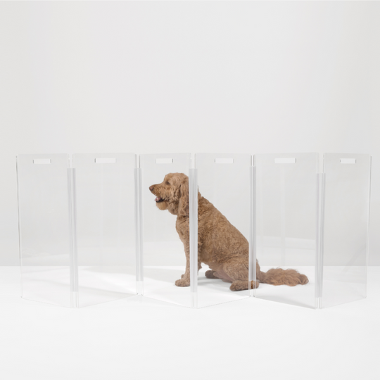 Clear Freestanding "High" Pet Gate Zig Zag | Options