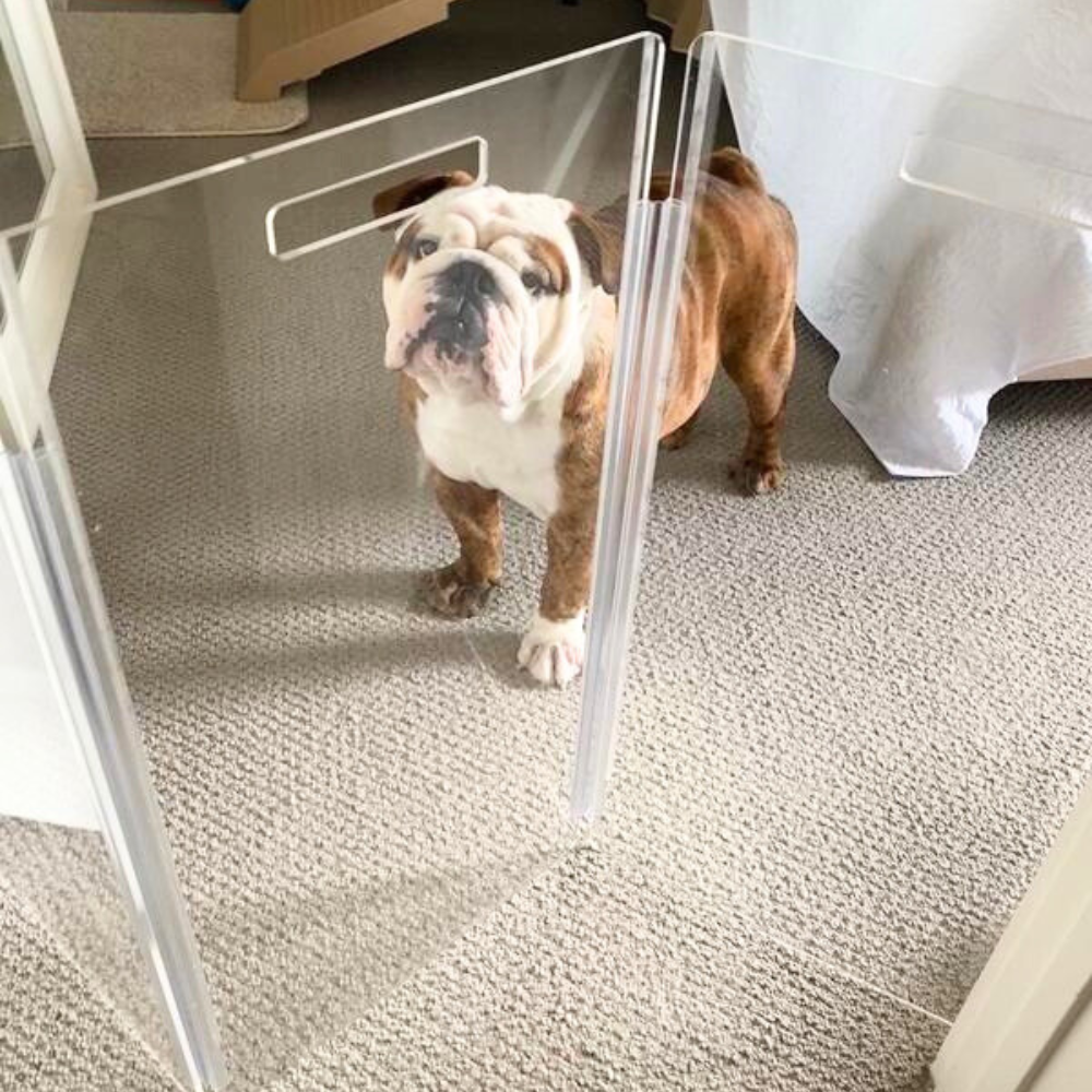 Freestanding Low Clear Zig Zag Pet Gate | Options