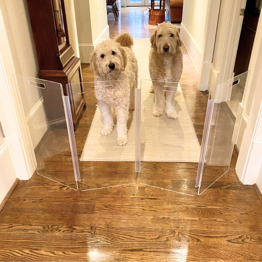 Freestanding Tall Clear Zig Zag Pet Gate | Options