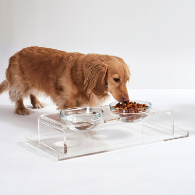 Dog eating out of clear acrylic pet feeder with two glass bowls