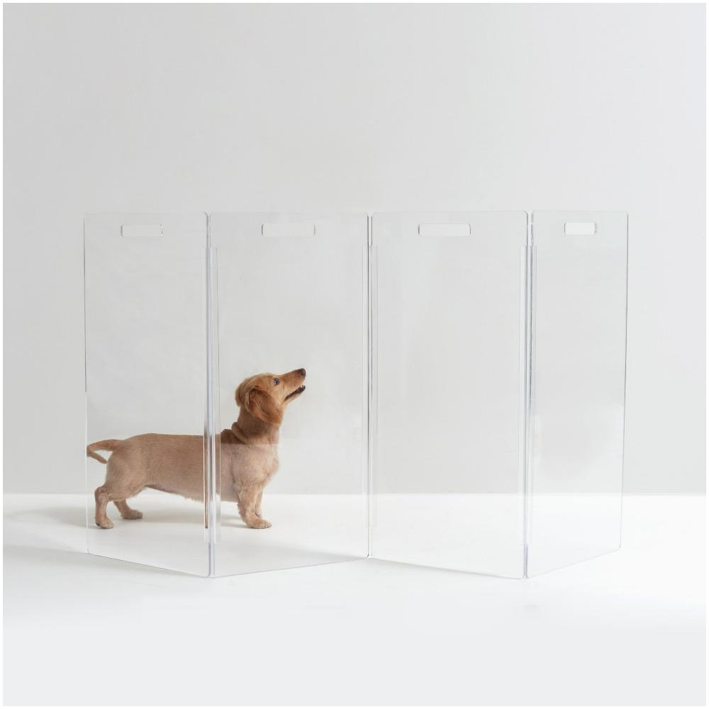 Dog in Clear Acrylic Freestanding Pet Gate