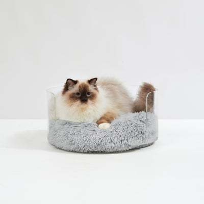 Cat Sitting on Clear Round Cat Bed
