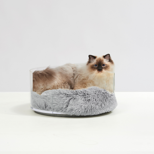 Cat Sitting on Clear Round Pet Bed