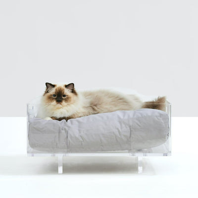 Cat Sitting on Rectangular Cat Bed