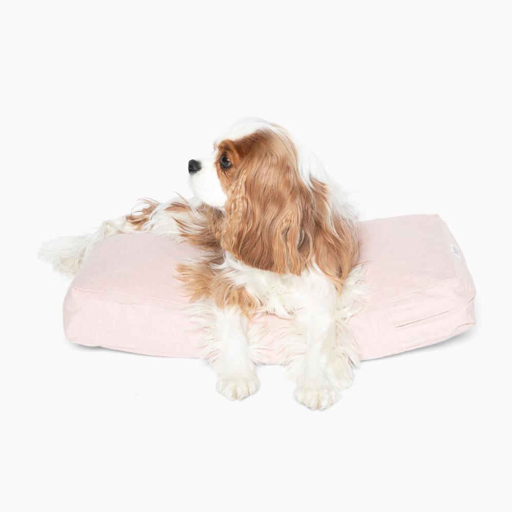 Dog Sitting on Blush Color Pet Cushion