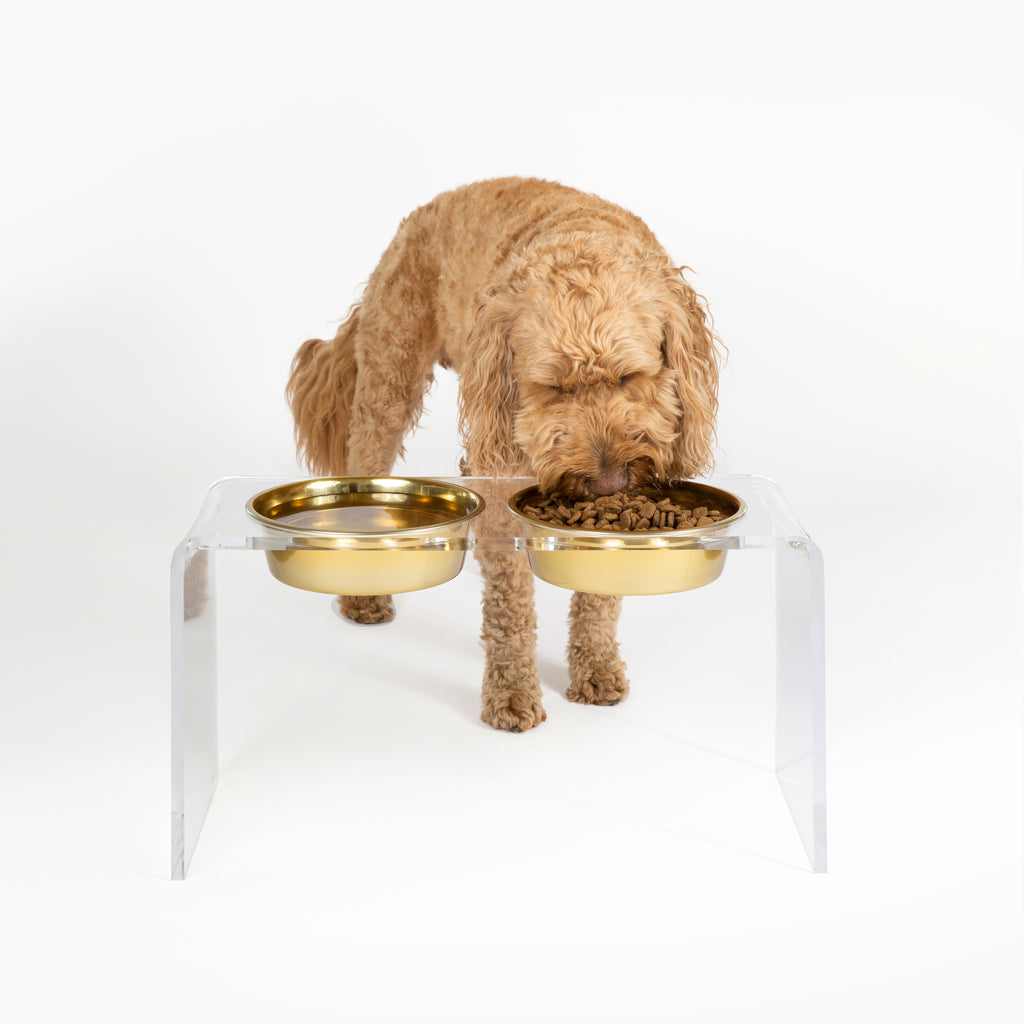Hiddin Clear View Double Elevated Dog Bowl, Clear, Gold, 4 Cup