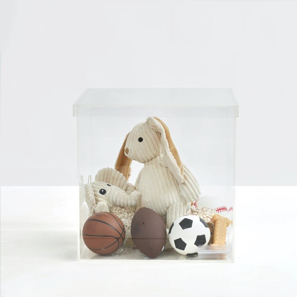 Pet Toys in Clear Storage Box with Separate Top